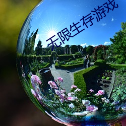 金年会(中国)官方网站