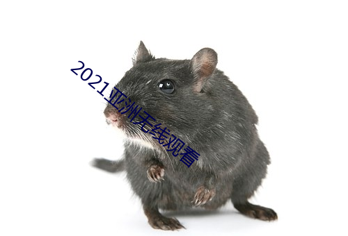 2021亞洲無線觀看