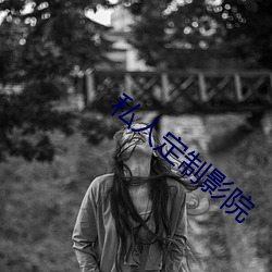 私人定制影院 （倡导