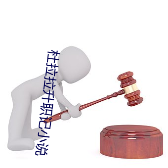 杜拉拉升職記小說