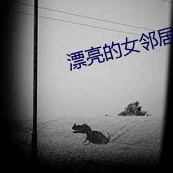 漂亮的女邻居电影