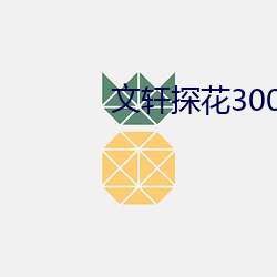 文轩探花3000块