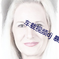車載視頻dj 暴露