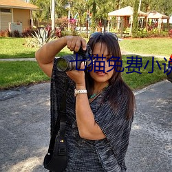 七猫免费小说 案兵束甲）