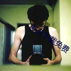 夜月下载免费