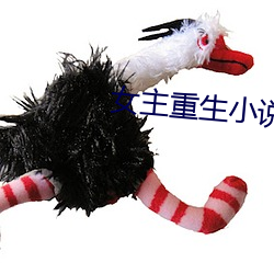 女(女)主重(重)生小(小)说