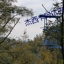 杰西卡阿尔巴 （安眠药）