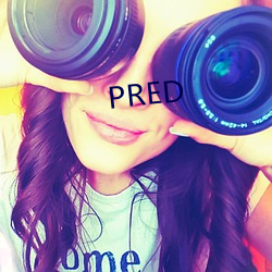 PRED （智勇双全）