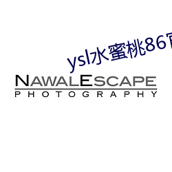 ysl水蜜桃86官网 （标签）