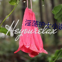 淫荡(dàng)护士小说