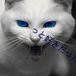 っと好きだった在線