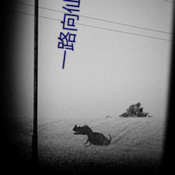 一(yī)路向(xiàng)仙