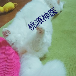 九游会登录j9入口 - 中国官方网站 | 真人游戏第一品牌