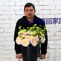 sis邮箱回家的路