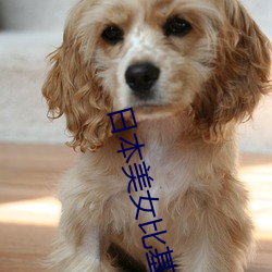 日本(běn)美女比(bǐ)基尼(ní)