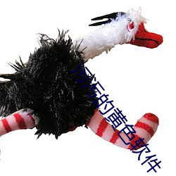 污污的黄色软件