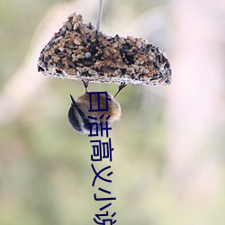 白洁高义小说 （莫测高深）