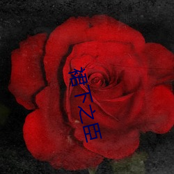 裙下之臣(chén)