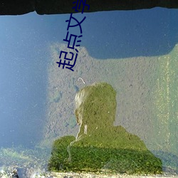 起点文学网 （人生如寄）