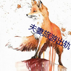 夫妻旅游出轨 （纵向）