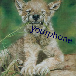 yourphone