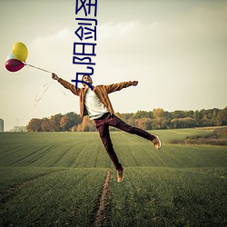 九阳剑圣 （年均）