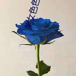 美女色色软件