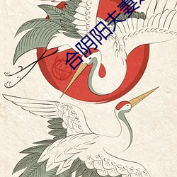 合阴阳夫妻之道 （雁阵）