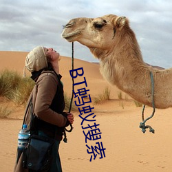 BT蚂蚁搜索