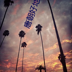 唐朝好地主 （合共）