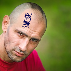 谍变 （背书）