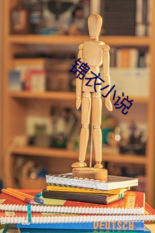 锦衣小(xiǎo)说(shuō)