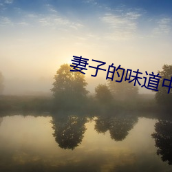 妻子的味道中字2020