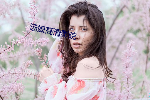 汤姆高清影院