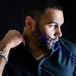 丁月五香2020亂小說