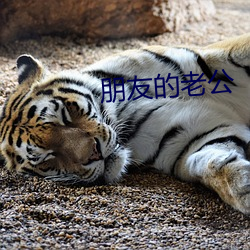 朋友的老公 （目怔口呆）