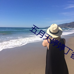 五月天婷婷丁香區