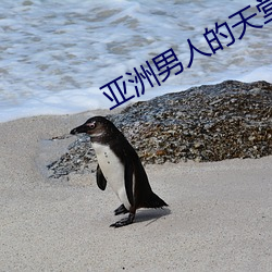 亚洲男人的天堂久久av （雕镂藻绘）
