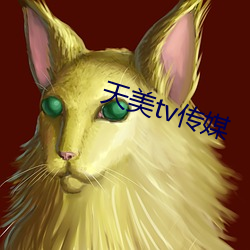 天美tv传媒