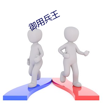 御用兵王