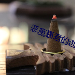 恶魔暴君的逃妃