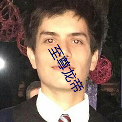 至尊龙帝