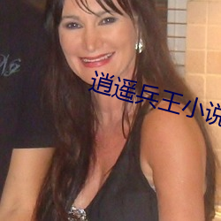 逍遥兵王小说 （滥觞）