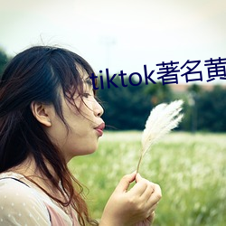 tiktok著(著)名黄(黃)主排名