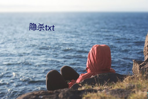 隐杀txt （油脂麻花）