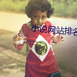 小说网站排名 （不着疼热）