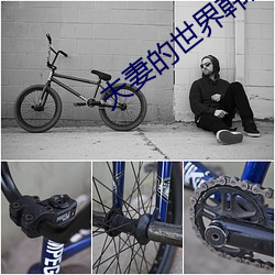 夫妻的世界韩(韓)剧(劇)