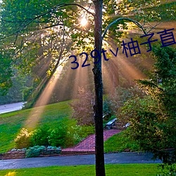 329t∨柚子直播