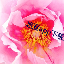 趣爱app下载最新版