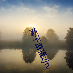 橘子直播zjtv （诲人不倦